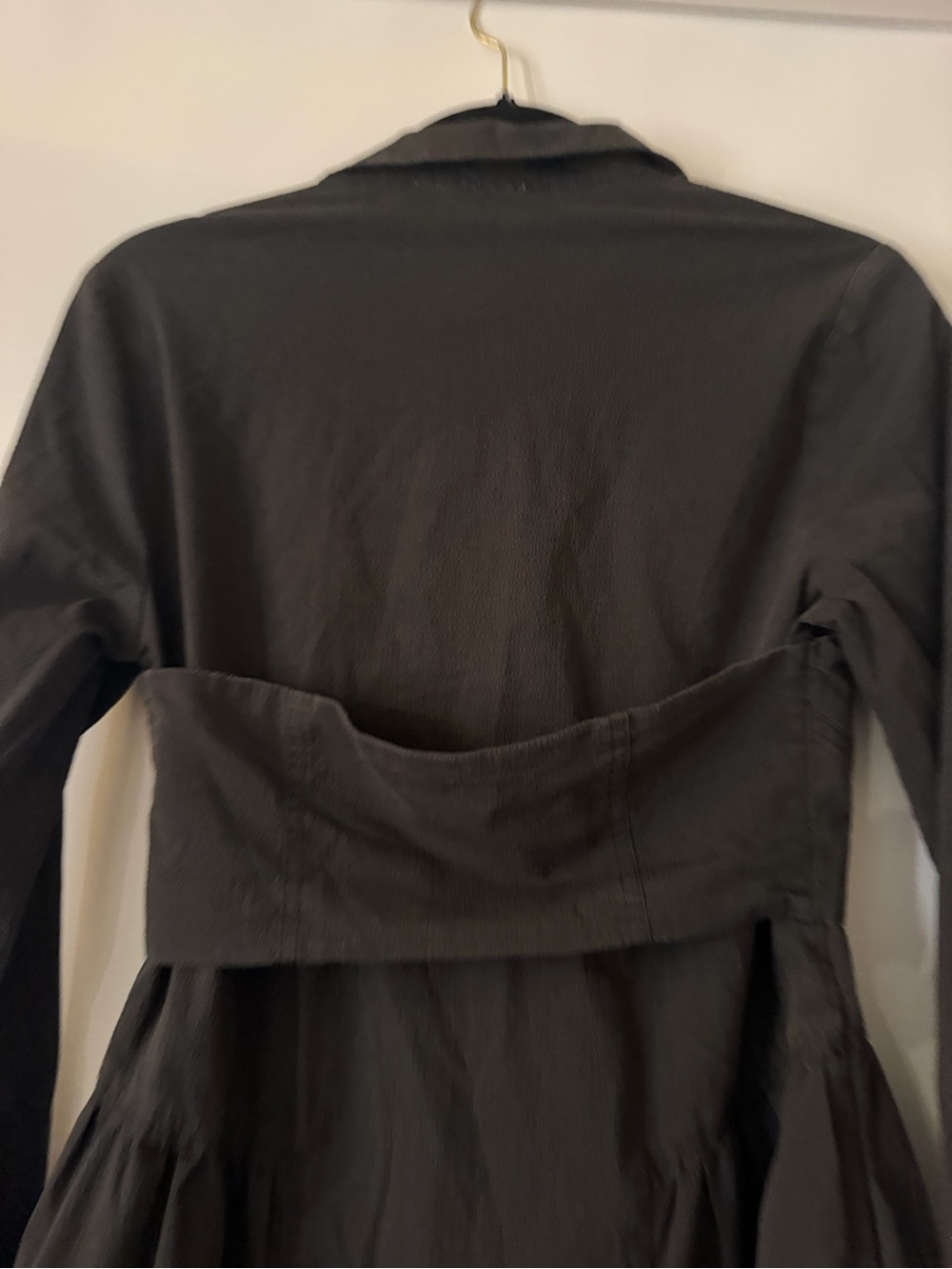 Capture Corset Dress
